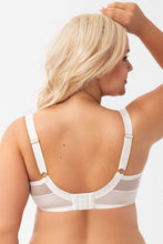 Load image into Gallery viewer,  Soft model 209536 Gorsenia Lingerie 
