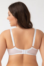 Load image into Gallery viewer,  Soft model 182036 Gorsenia Lingerie 
